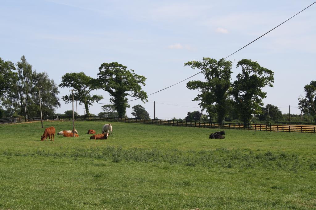 Moate Lodge Athy Dış mekan fotoğraf